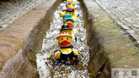 生肖猴!12月18日12月19日,不要怀疑,这是天运!