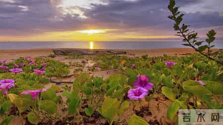 12月19日今日生肖，生肖马，会有事发生了！