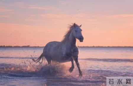 属马人和谁一起，一辈 子都是“富 贵 命”，天生一对，晚年不离不弃不缺钱！