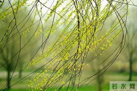 元代10首巅峰之作：相思入骨，家国泣血，风骨照汗青！