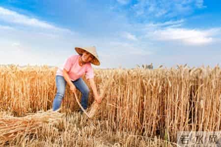 拉帮套的男人——(270)突发情况