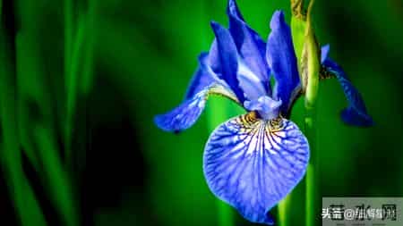 12月19日至24号星期五，属牛，可能会有有事发生