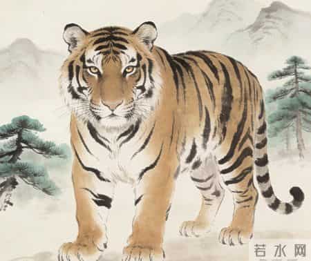 骏马遇良伴：生肖马的幸福同行者