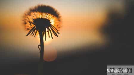 12月18日，未来2天，子鼠，会有大的事发生！