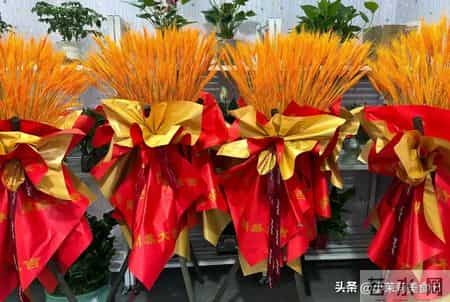 今日十月二十九，牢记：1不开，2不移，吃3样，图个安稳顺利过冬