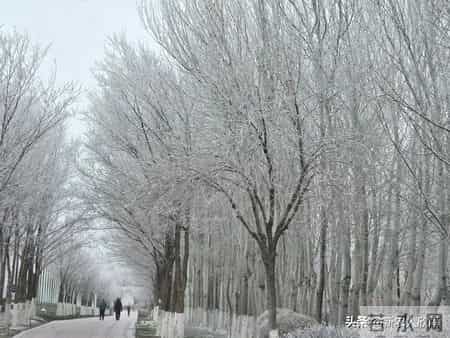 六十年一遇!今年冬至不一般,老辈人叮嘱:做好3件事,安稳迎寒