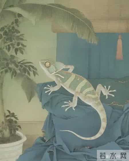 老僧：家里进了壁虎别急着打？壁虎上门是为了提醒你这5件事