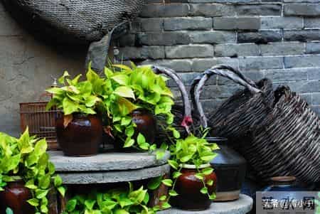 一个院的两个女人——隐忧（35）