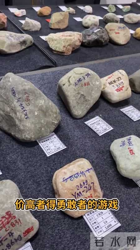 平洲公盘惊现“石胆”绝杀:朽木皮壳内藏琉璃翠,父子恩怨一刀平