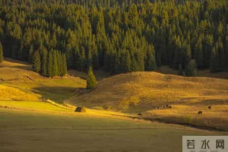 “十月怕廿九”，明日十月廿九，牢记：三做三不做，顺顺平安！