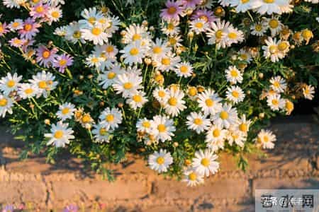 关东风雪情——做个坏人很难（142）