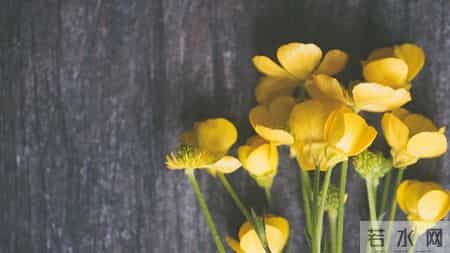 生肖羊，人算不如天算，12月18日至12月24号下周生肖运势