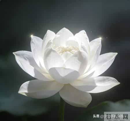 续句诗：浮名散作指间沙，真水无香好沏茶。笑看风云皆过客