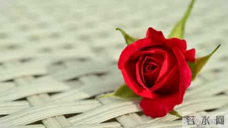 巳蛇,12月18日,星期四,不要怀疑,这是天意了