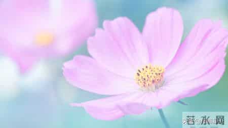 12月18日至23号，生肖鼠，可能有幸事发生了