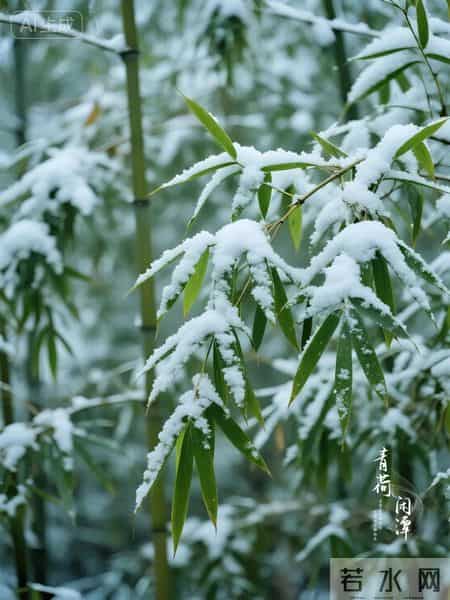 一首被严重低估的雪夜唐诗,空灵清幽,别有精神,美了千年时光