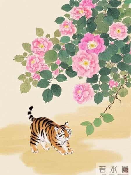 生肖虎,你的福报很厚,大运马上开始!