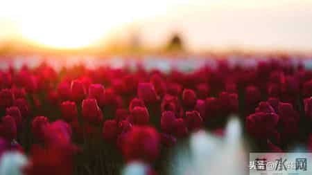 12月18日星期四，属猪，可能会有事发生了