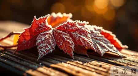 “十月怕廿九”，明日十月廿九，牢记：三做三不做，顺顺平安！