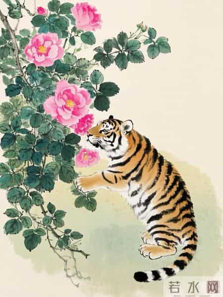 生肖虎,你的福报很厚,大运马上开始!