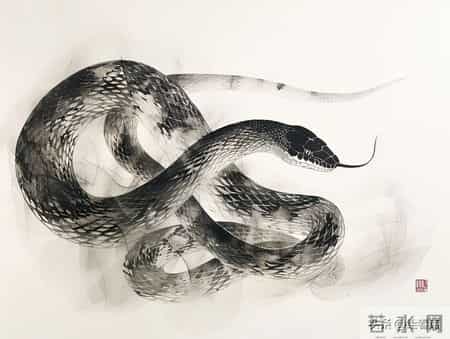 属蛇的准备起飞！这“泼天的福气”，终于轮到你了