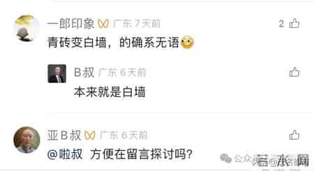 高州宝光塔发生什么事了？引发极大争议…