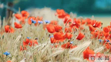 12月19日星期五，属龙，可能会有事发生了