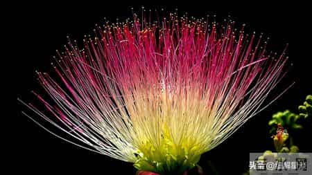 酉鸡要“笑醒”了，12月19日星期五，你将会遇见你最大的2位贵人