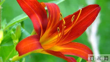 丑牛，12月19日20号，尤其是20号，不要怀疑，这是天意！