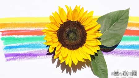 12月18日星期四，属兔，可能会有事发生了