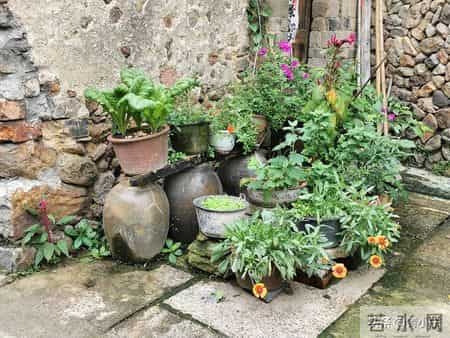 一个院的两个女人——隐忧（35）