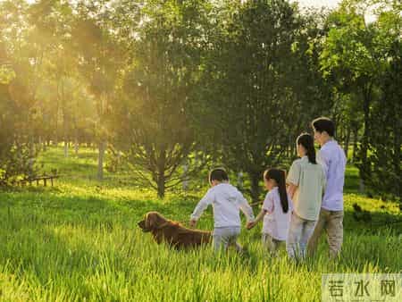 冬转机：这三个生肖为何在年末迎来关键突破