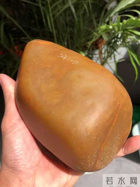 勐腊胶农暴雨后摸泥捡石:拿来压腌菜,竟是 260 万鸡油黄飘金翡!