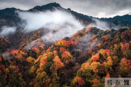 “十月怕廿九”，明日十月廿九，牢记：三做三不做，顺顺平安！