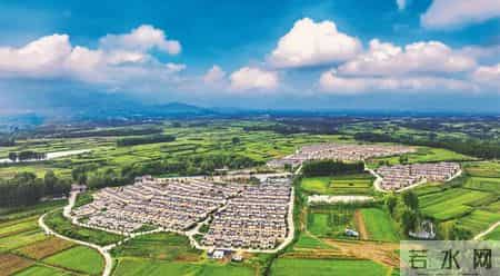 《人民日报海外版》刊发南阳市卧龙区驻村第一书记散文《小院特产》