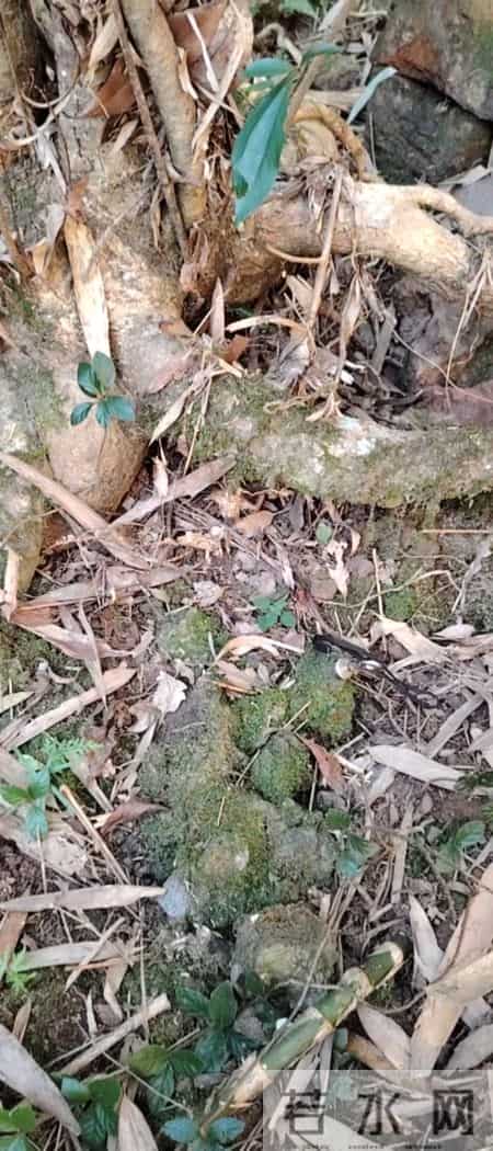 广西桂林第一个陨石坠落点被找到