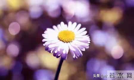 先苦后甜的5大生肖,年轻时波折,中年富晚年享福金银滚滚堆成山