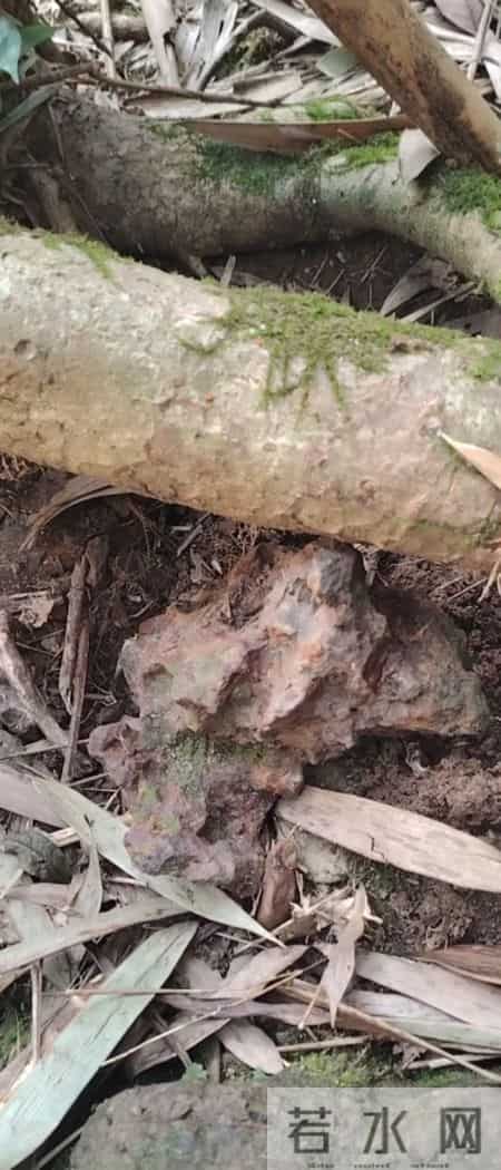 广西桂林第一个陨石坠落点被找到