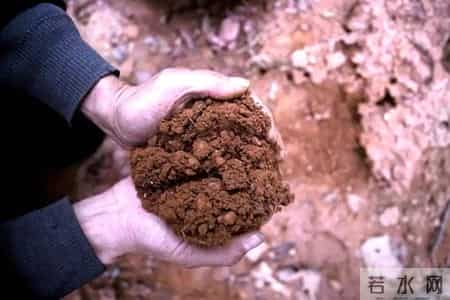 张河清能火到人民日报，是因为他踩中了，中国文化的三个隐形规则