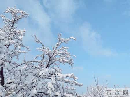 咏雪最好的8首诗词，藏着千古名句，哪一首才是你心中的第一