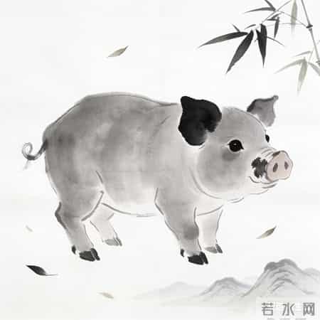 亥猪注意！未来三天，这两件事别 硬扛，小心驶得万年船!