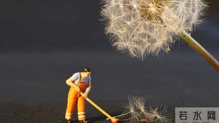 生肖猪，会有事降临，12月19日到12月22日，星期五！