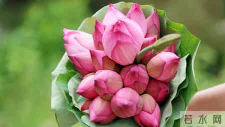 生肖兔，人算不如天算，12月18日至12月24号下周生肖运势