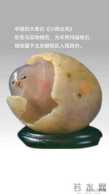 从亿元神话到无人问津：赏石界的“春秋大梦”，该醒了