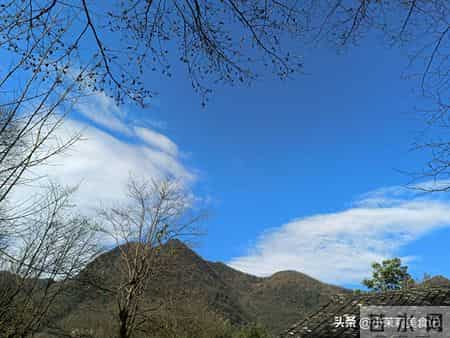 今日十月二十九，牢记：1不开，2不移，吃3样，图个安稳顺利过冬