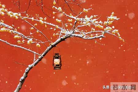 明日冬至前一天“离日”,牢记:1不出,2不办,3不理,4要吃