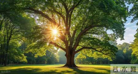 关东风雪情——晨晨惹祸(141)