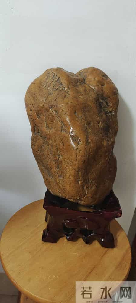 平洲公盘惊现“石胆”绝杀:朽木皮壳内藏琉璃翠,父子恩怨一刀平