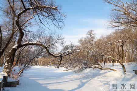 今年冬至不一般,逢甲子,“冬至甲子头,见雪必定收”,啥意思?