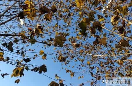 今日十月三十是“忌日”，记得：1不说、2不做、3不问、4要吃！